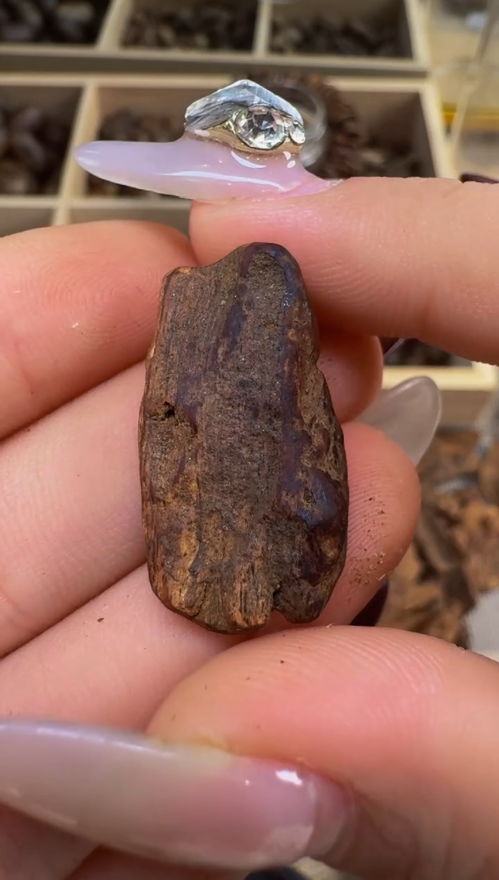 【闪购商品】沉香吊坠越南惠安红土