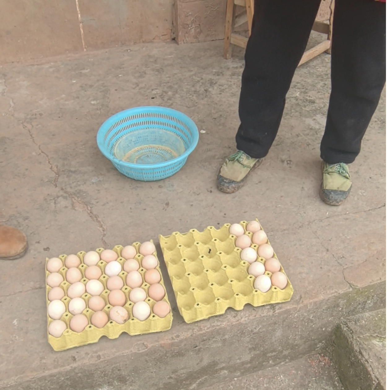 农村散养纯粮食鸡蛋（顺丰空运）