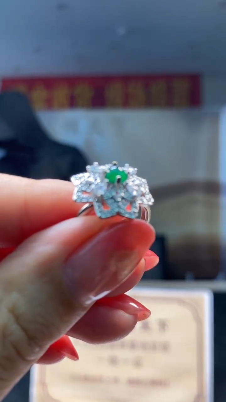 翡翠未镶嵌颈饰********5