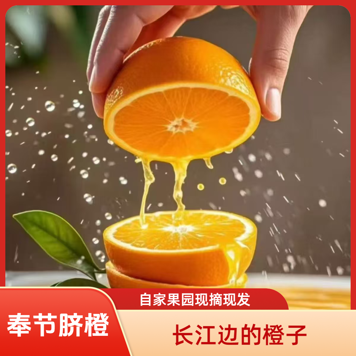 正宗长江边奉节脐橙纽荷尔脐橙现摘现发新鲜应季水果送礼橙子香甜