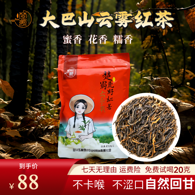 1200米高山小种红茶秦岭大巴山一芽一叶春茶新茶叶
