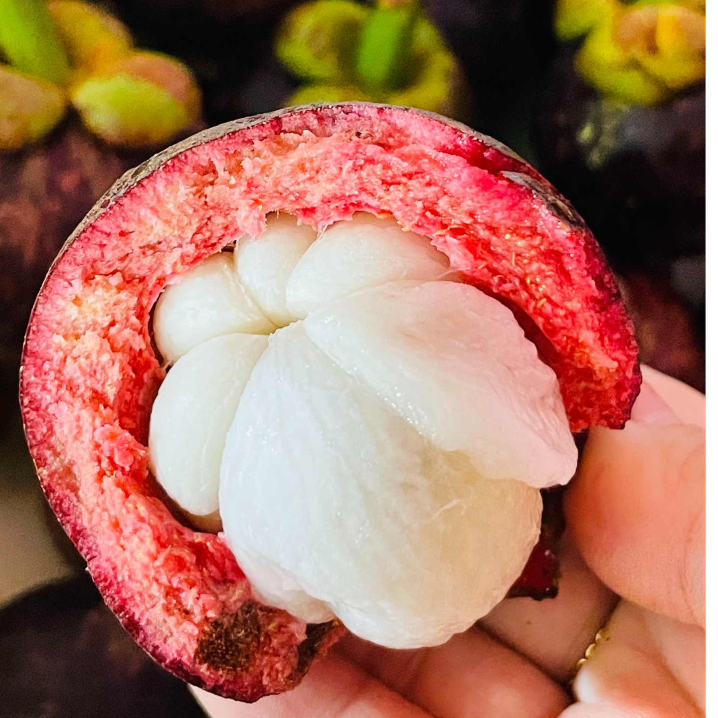 【3A山竹】新到清甜云南省