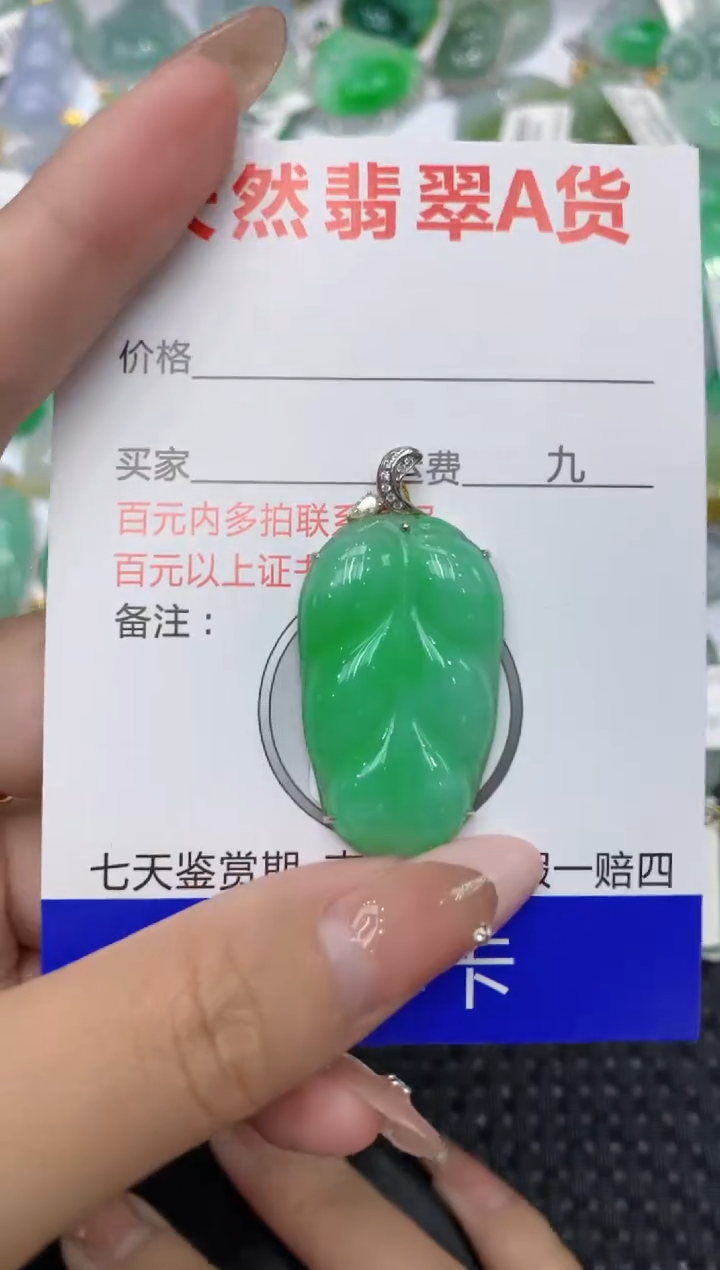 【闪购商品】翡翠颈饰18K金镶嵌111111111