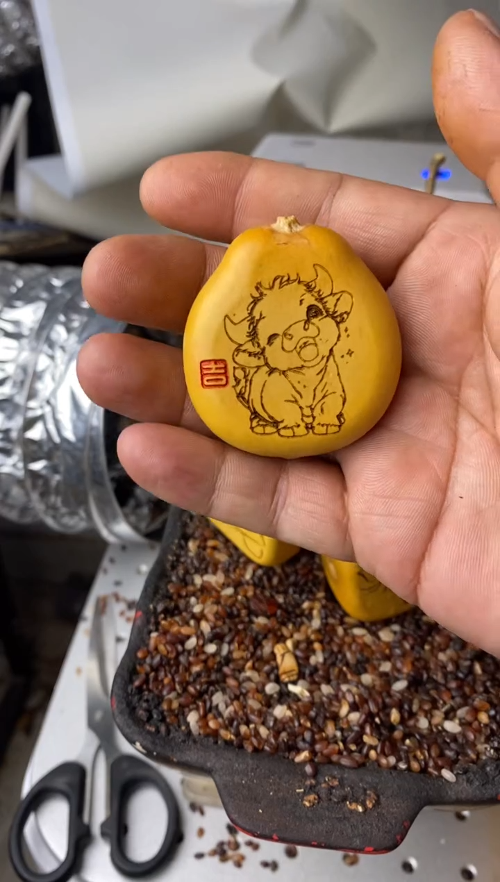 T****n葫芦葫芦葫芦葫芦
