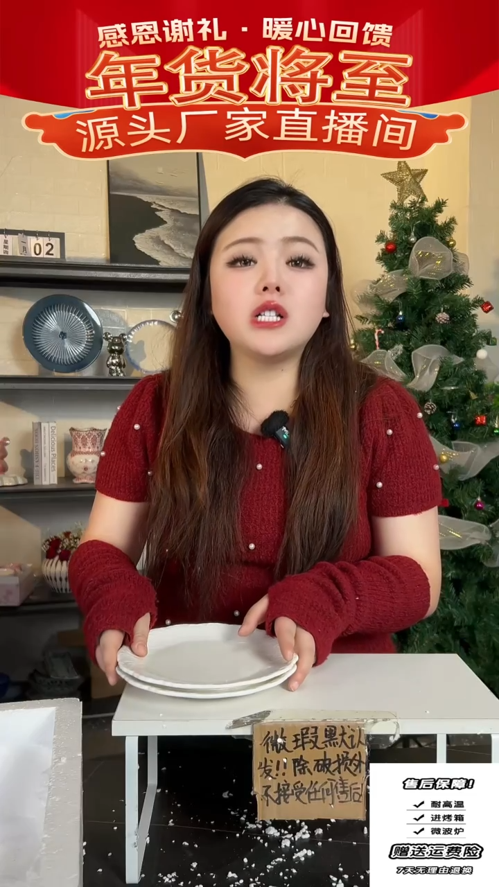 【闪购商品】瓷玫瑰花盘子2只装