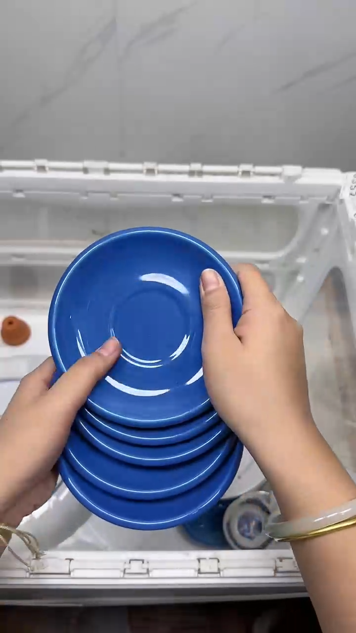 【闪购商品】4965回流瓷器默认微瑕，18.8包邮