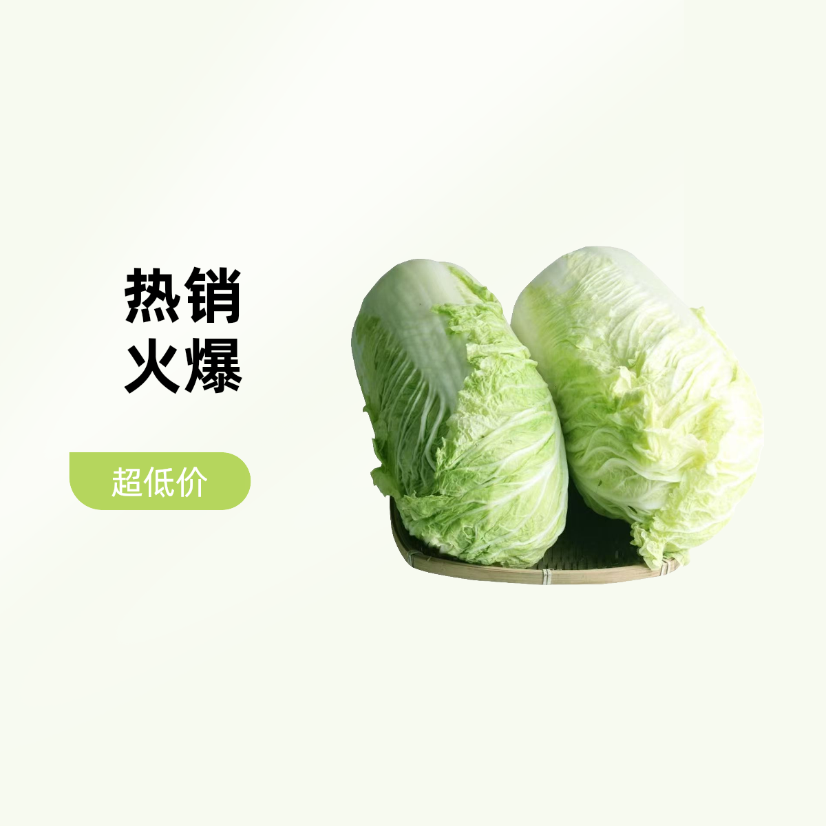 大白菜约4.5-5斤/个