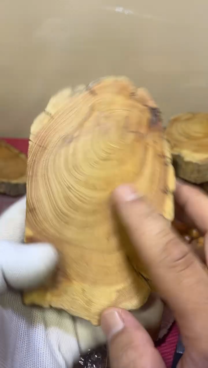 柏木（崖柏）太行陈华崖柏毛料