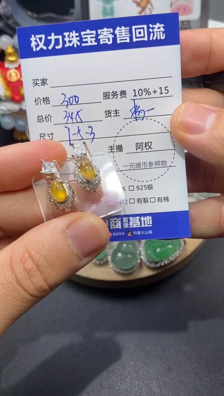 【闪购商品】翡翠颈饰未镶嵌寄售不退换