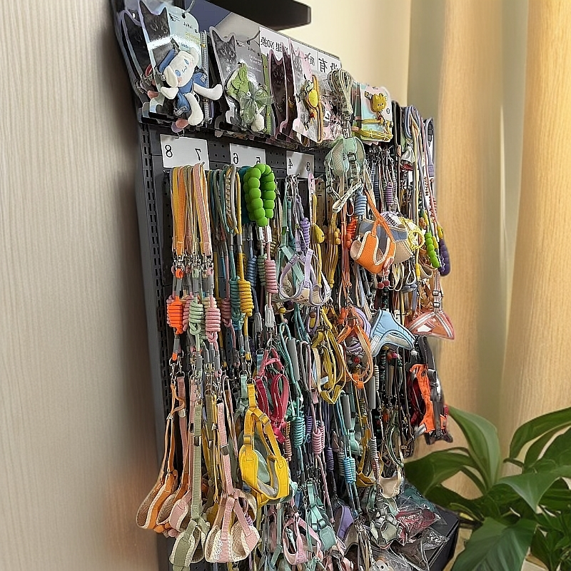 宠物牵引绳直播间专享