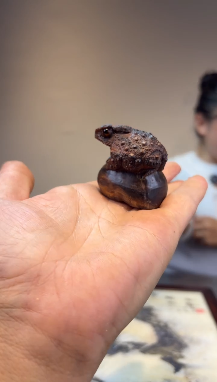 贡木用****8贡木贡木贡木