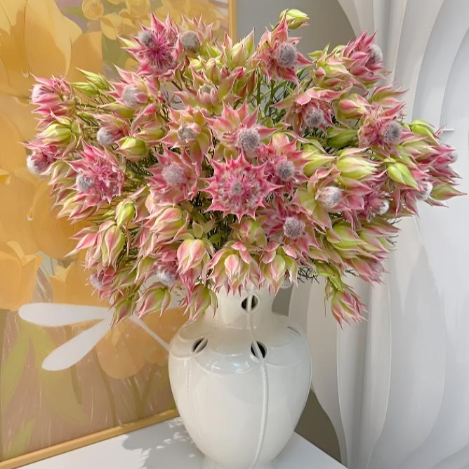 【花瓶】神仙颜值新娘花丨云南基地直发丨新鲜丨小众高级丨耐养