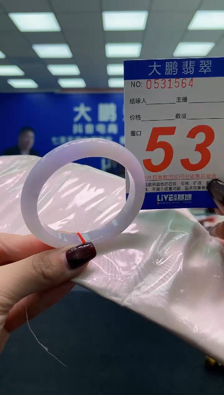 未镶嵌手镯翡翠AAAAAAAAAA
