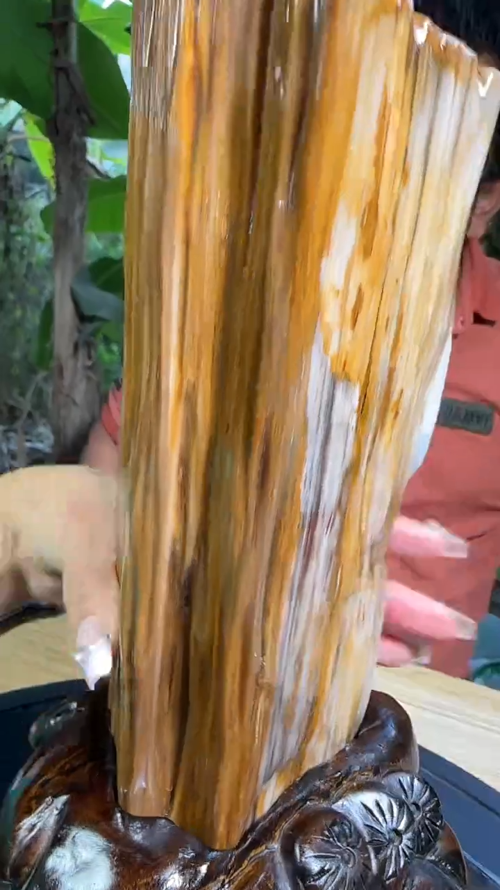 【闪购商品】硅化玉珠宝奇石未镶嵌拍一发一