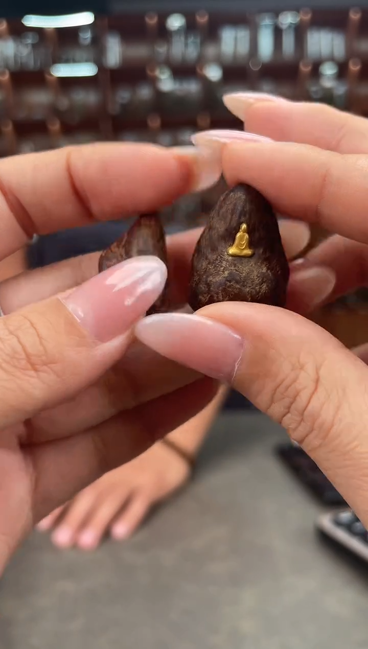 【闪购商品】沉香摆件30号沉水文莱 块料多样性发一个