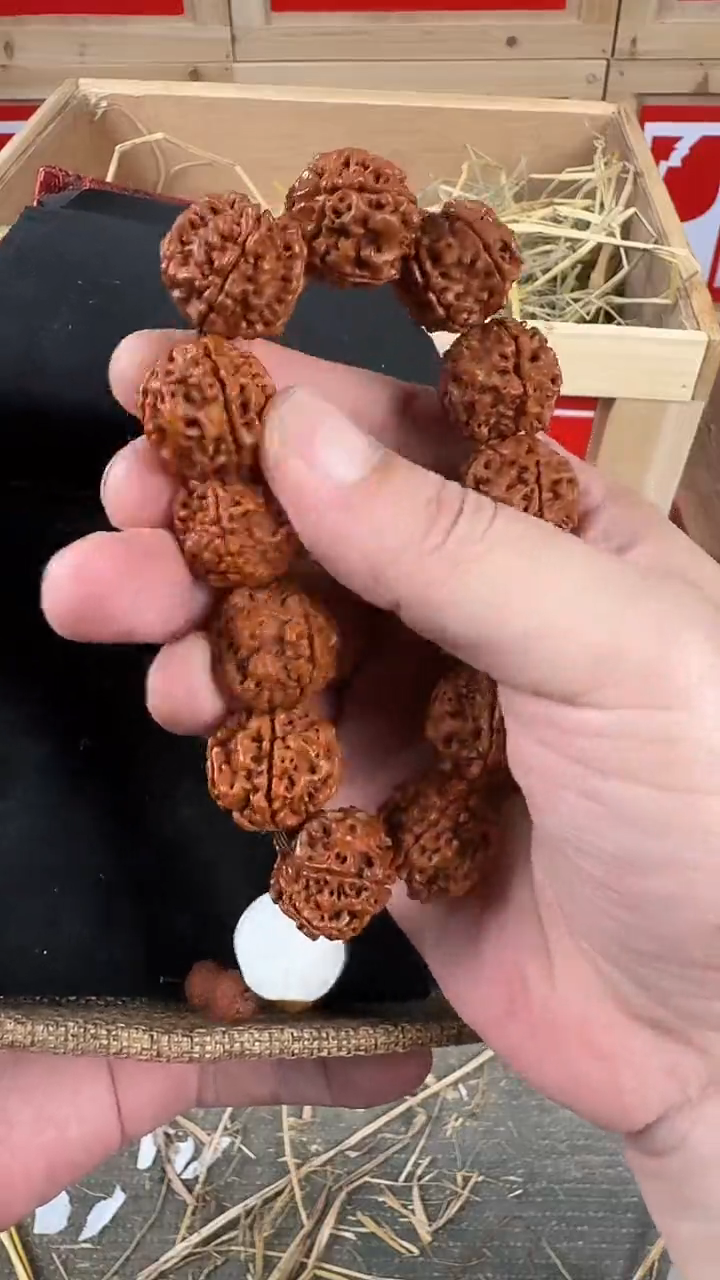手串菩提根/象牙果金刚菩提