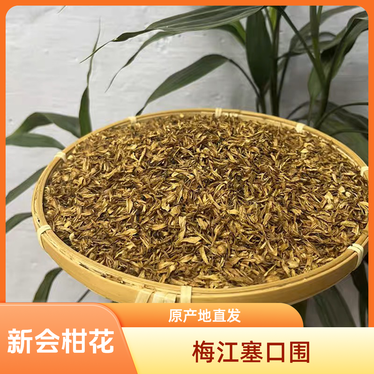 【塞口围】梅江塞口围柑花 2019年 柑花