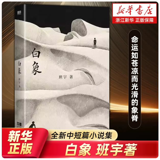 现货 新华正版】白象 班宇 小说 命运如象脊有人长跪有人踉跄起身