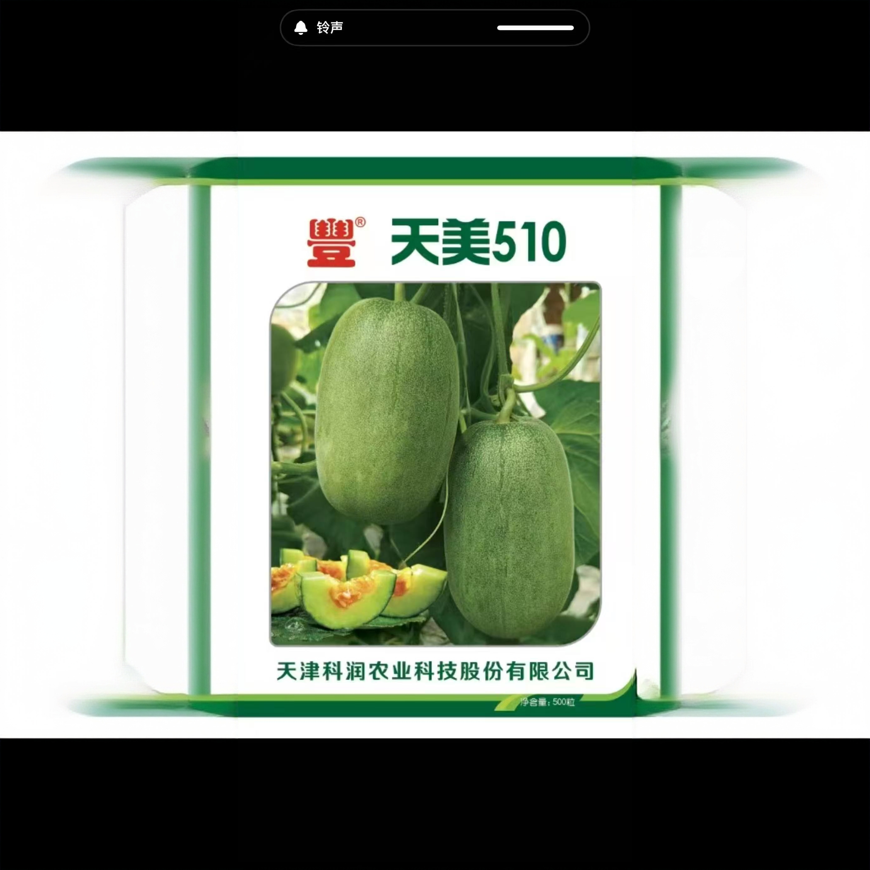 天美510种子500粒种子包邮