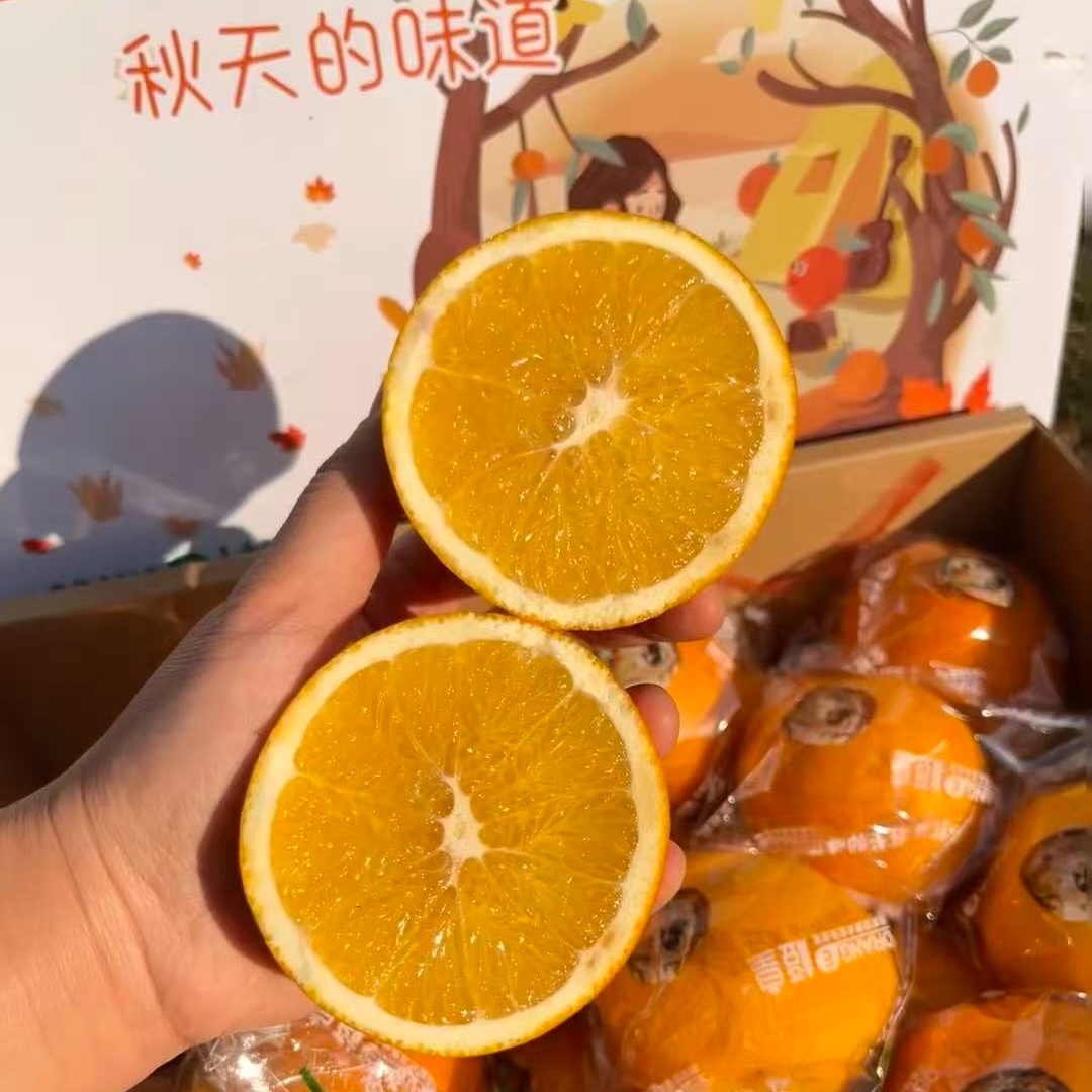 云南金钱豹金秋橙 散装3.5斤