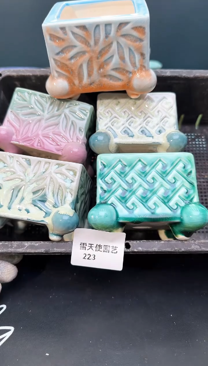 2 23  小蛙腿盆 5 个默认微瑕