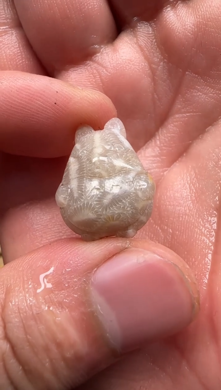 【闪购商品】硅化珊瑚（珊瑚玉）颈饰未镶嵌575