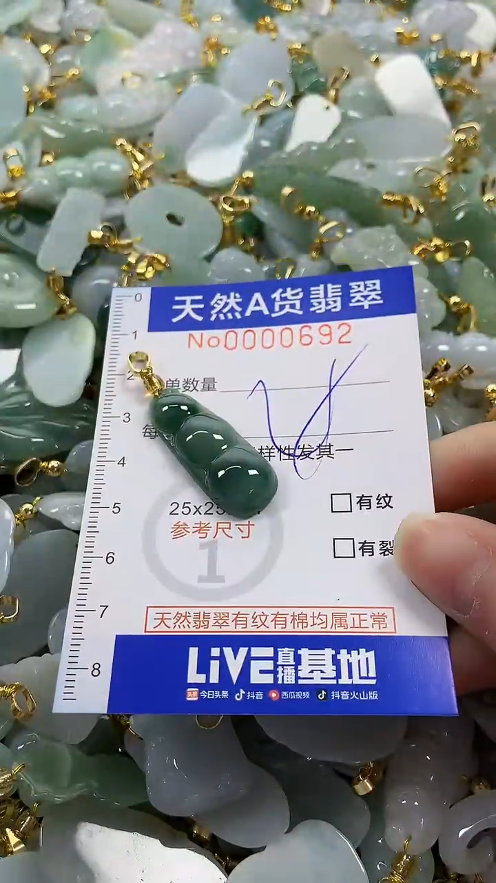 颈饰未镶嵌翡翠纯天然a货翡翠