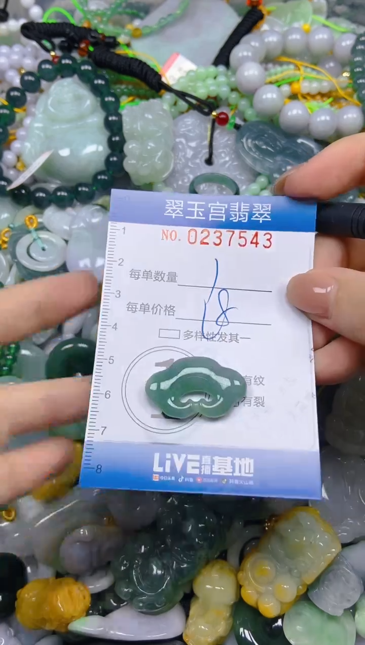 颈饰未镶嵌翡翠闪购C0237543