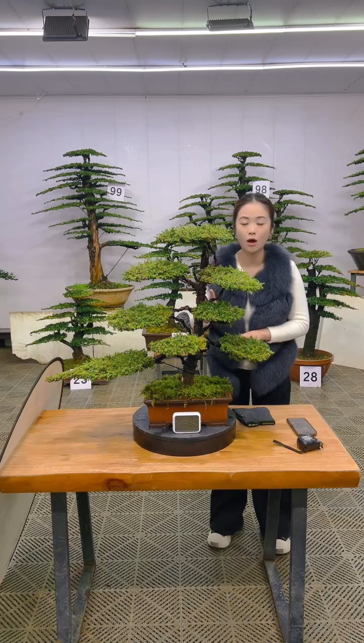 无花朵一物一拍一物一拍