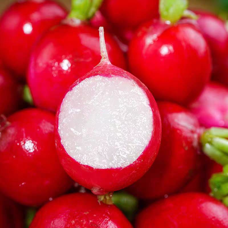 湖北特色红小萝卜红皮白心细嫩多汁泡菜酱菜萝卜新鲜现挖烧鱼拍档