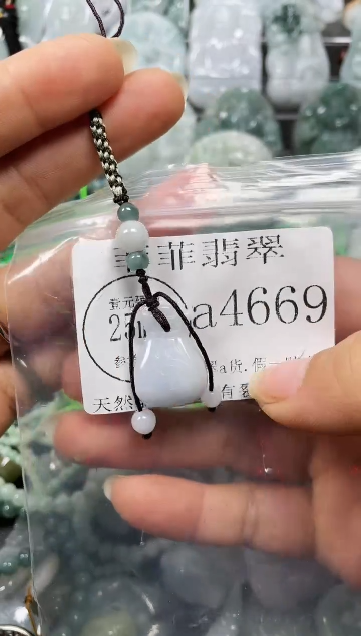 【闪购商品】翡翠颈饰未镶嵌闪购4669