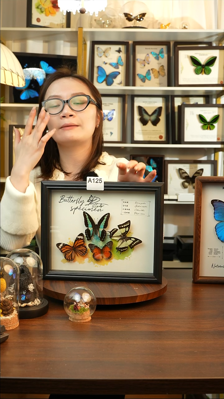 四色蝴蝶组合（10寸欧式黑框）A125