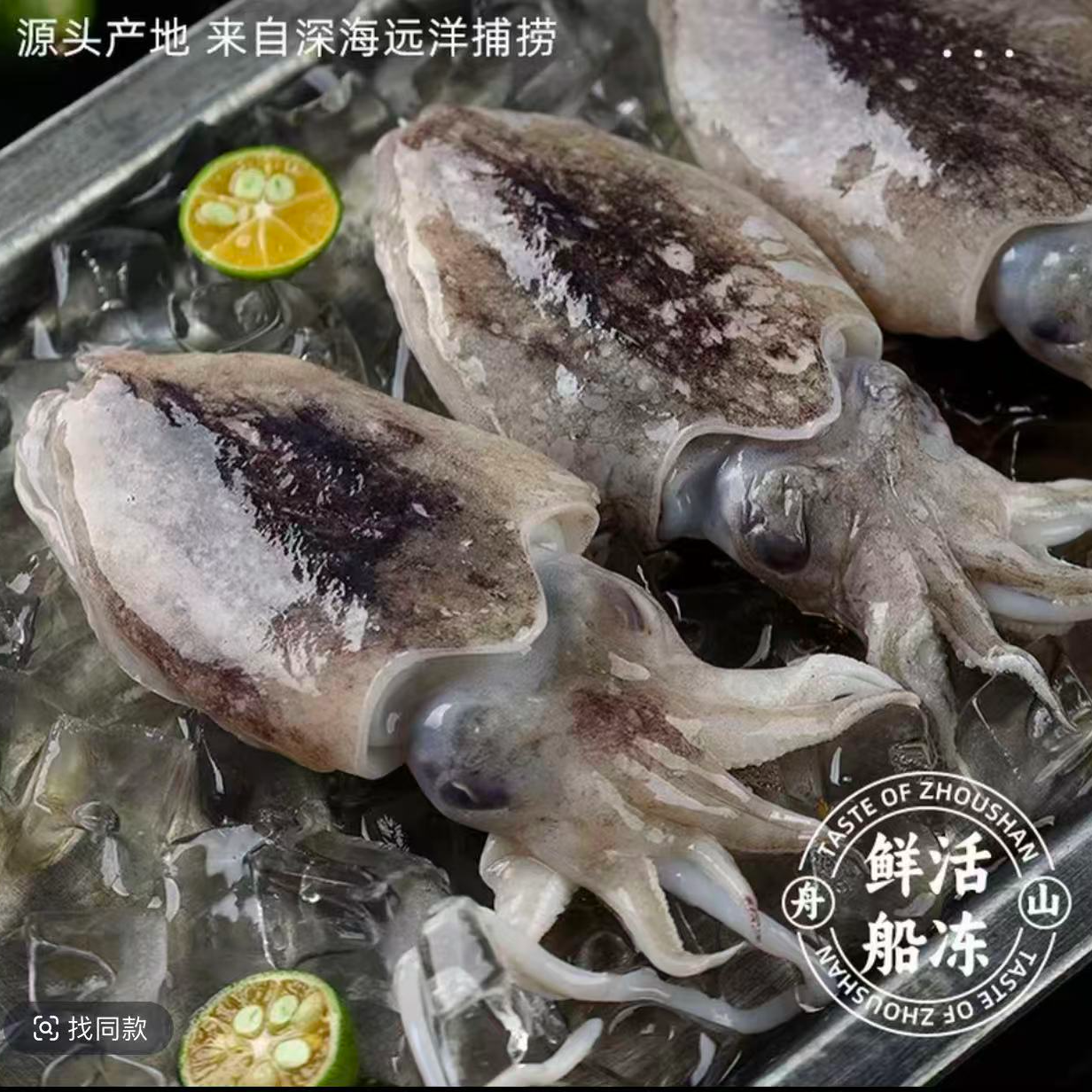 3斤新鲜野生海捕墨鱼鲜活速冻 一斤10-11条左右 顺丰冷链发货