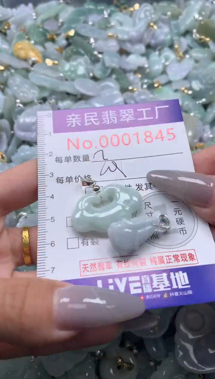 颈饰未镶嵌翡翠1845
