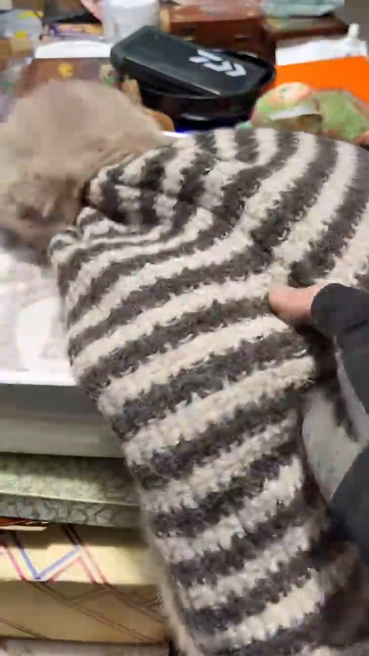 瓷片瓷片8888888888888888