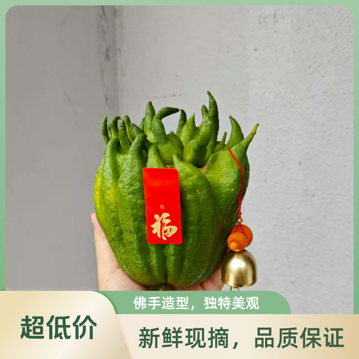 新鲜现摘佛手柑观赏闻香