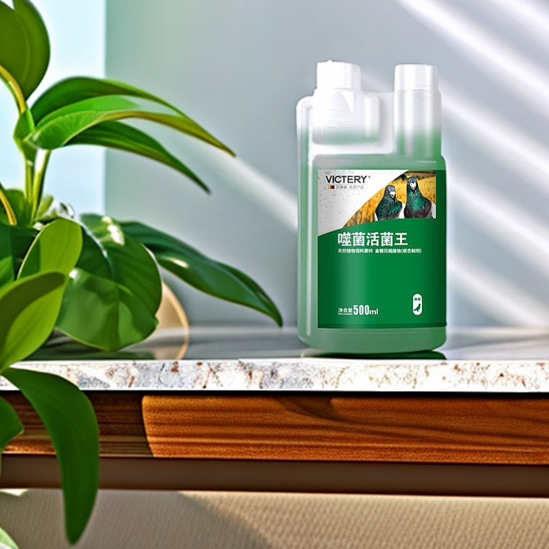 汉诺威噬菌活菌王500ml赛鸽信鸽鸽子赛鸽活菌