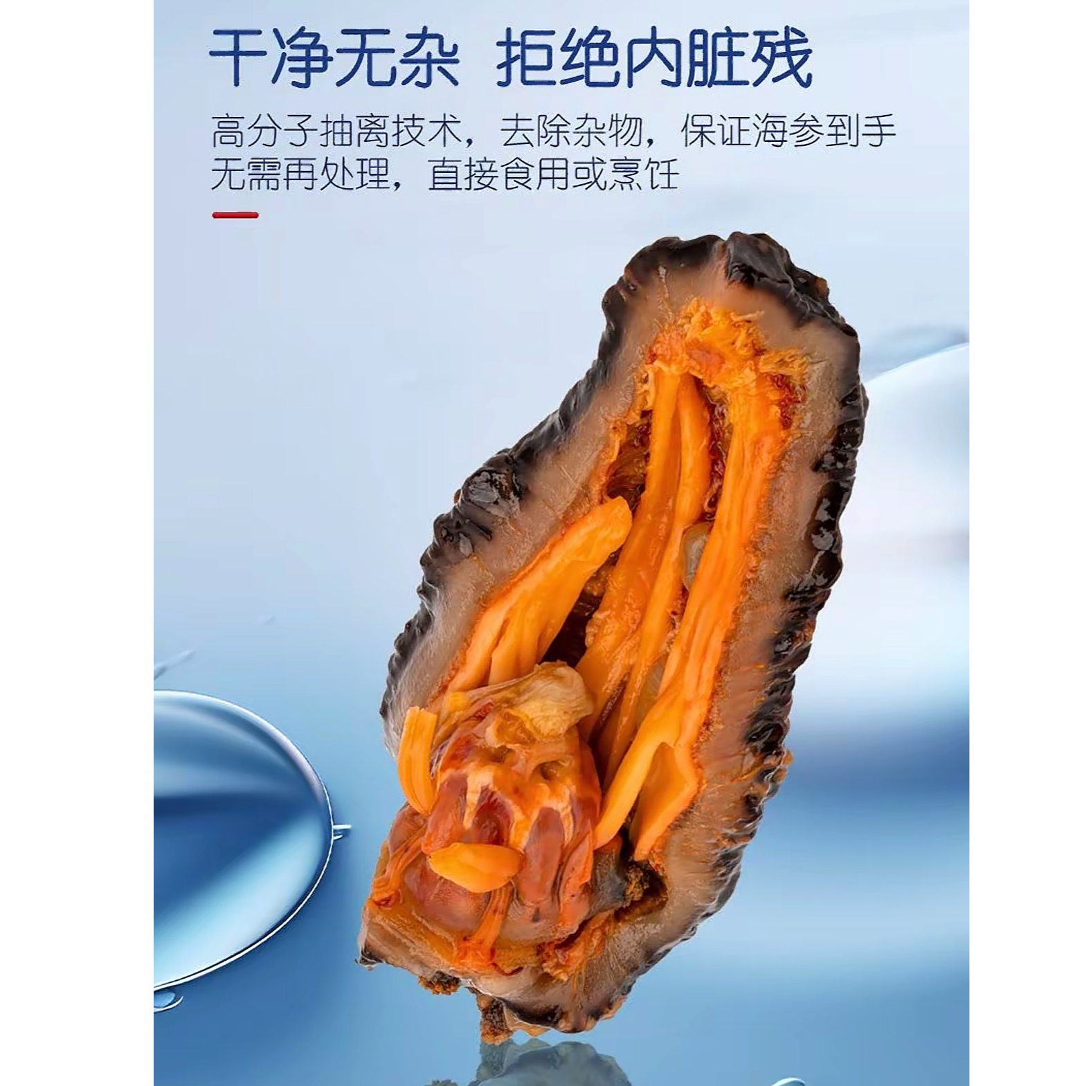 潜水捕捞天然野生即食海参3斤海参花2斤到手5斤➕1个天然海螺啊刘