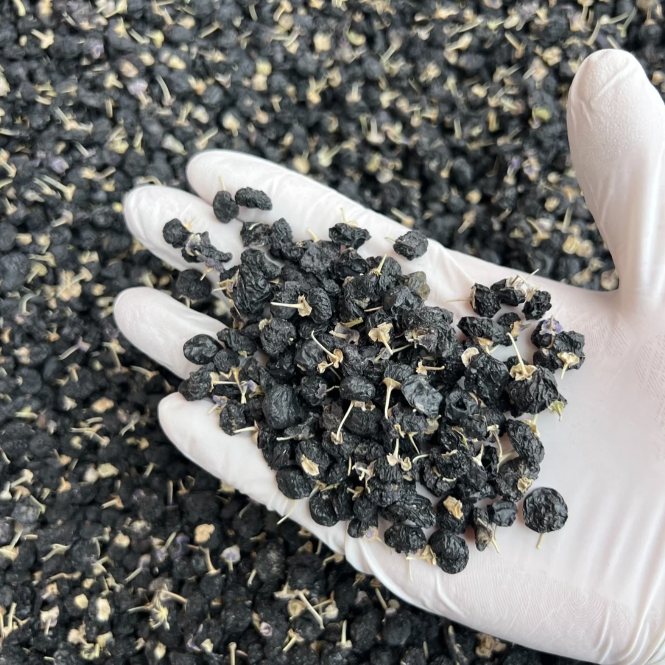 【山货】黑枸杞颗粒饱满头茬大果花青素泡茶250克