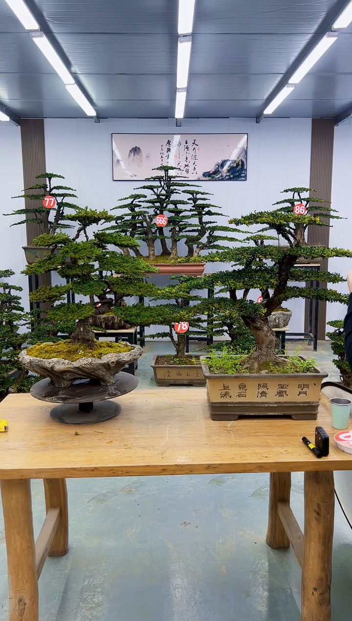 以实际为准此****蔽000000000