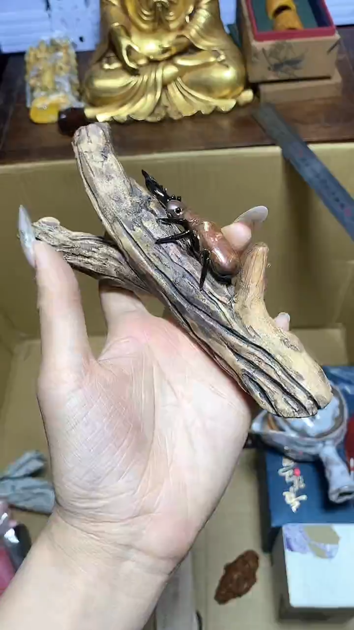 【闪购商品】瓷器瓷片瓷器瓷片