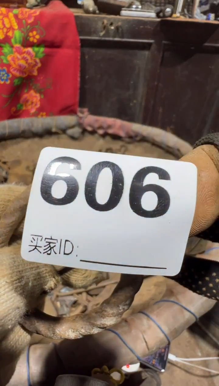 茶*舒08180老王直播间专属链接
