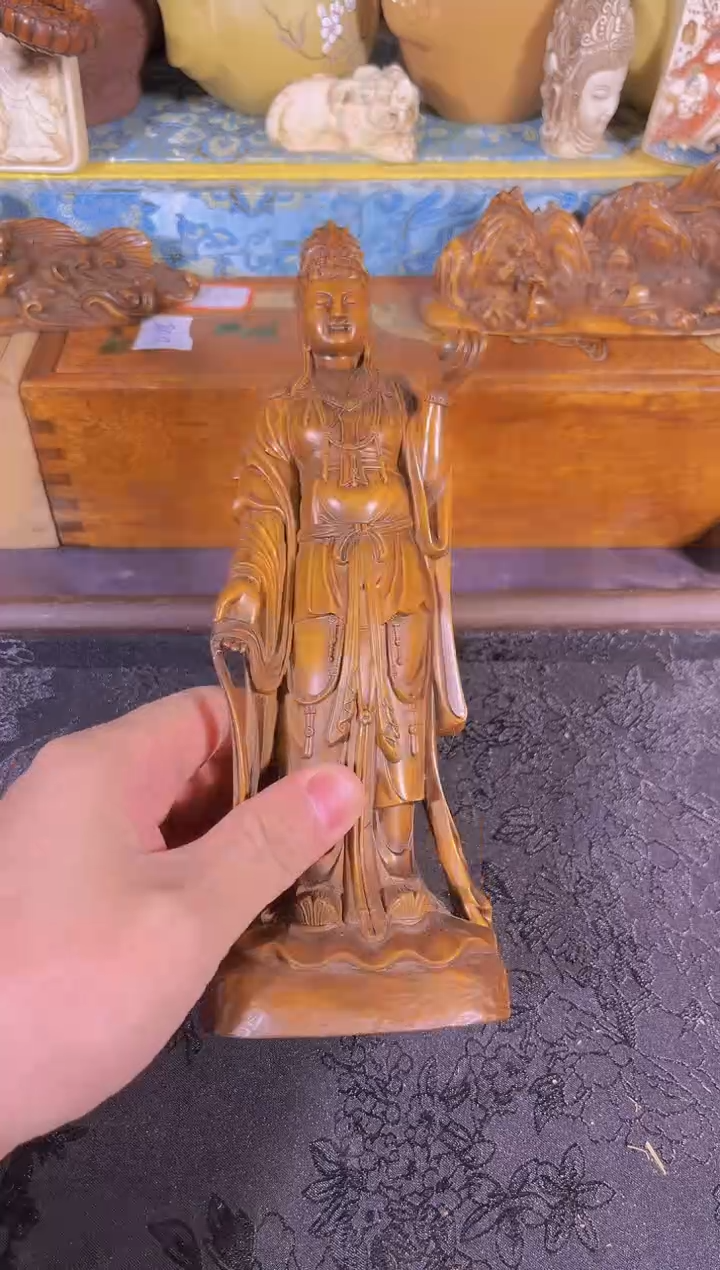 黄杨木1111111111111111111