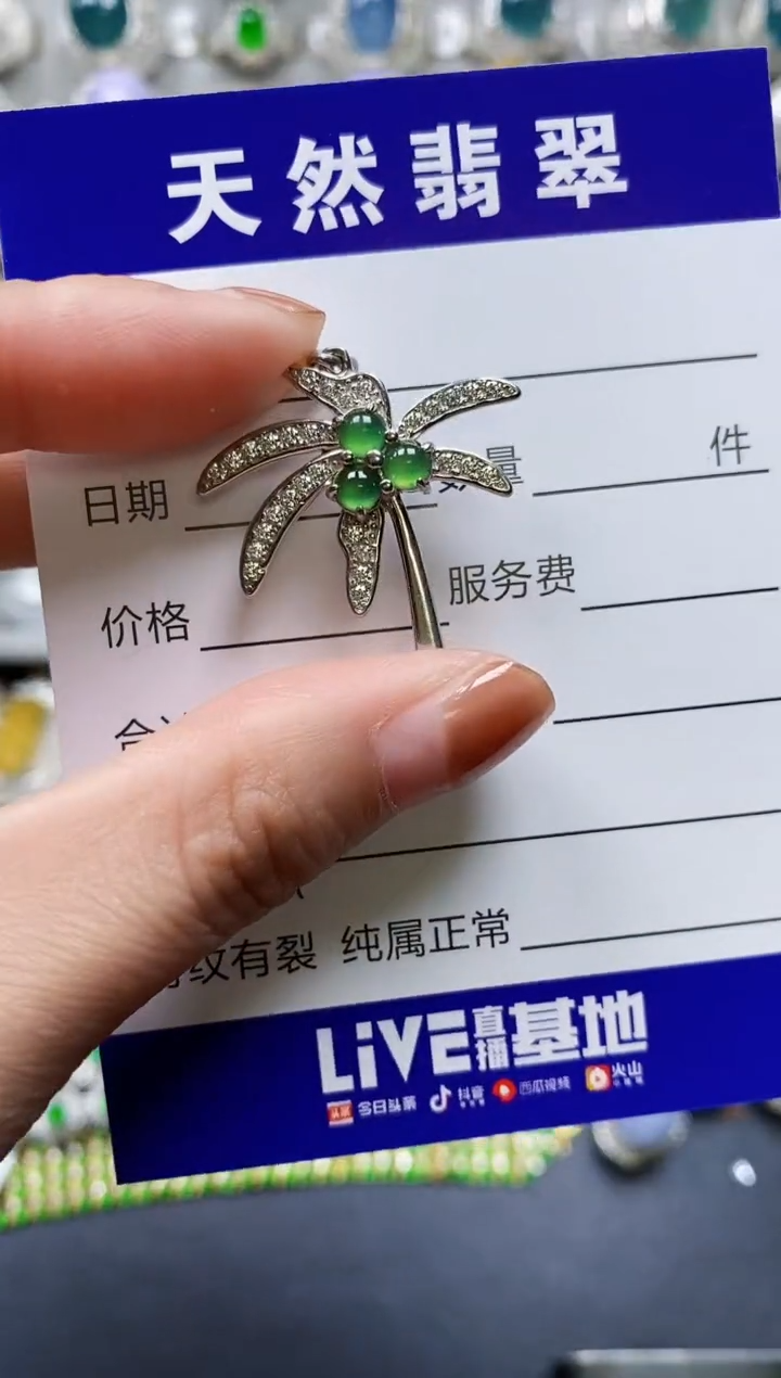 【闪购商品】翡翠颈饰银S925镶嵌0693