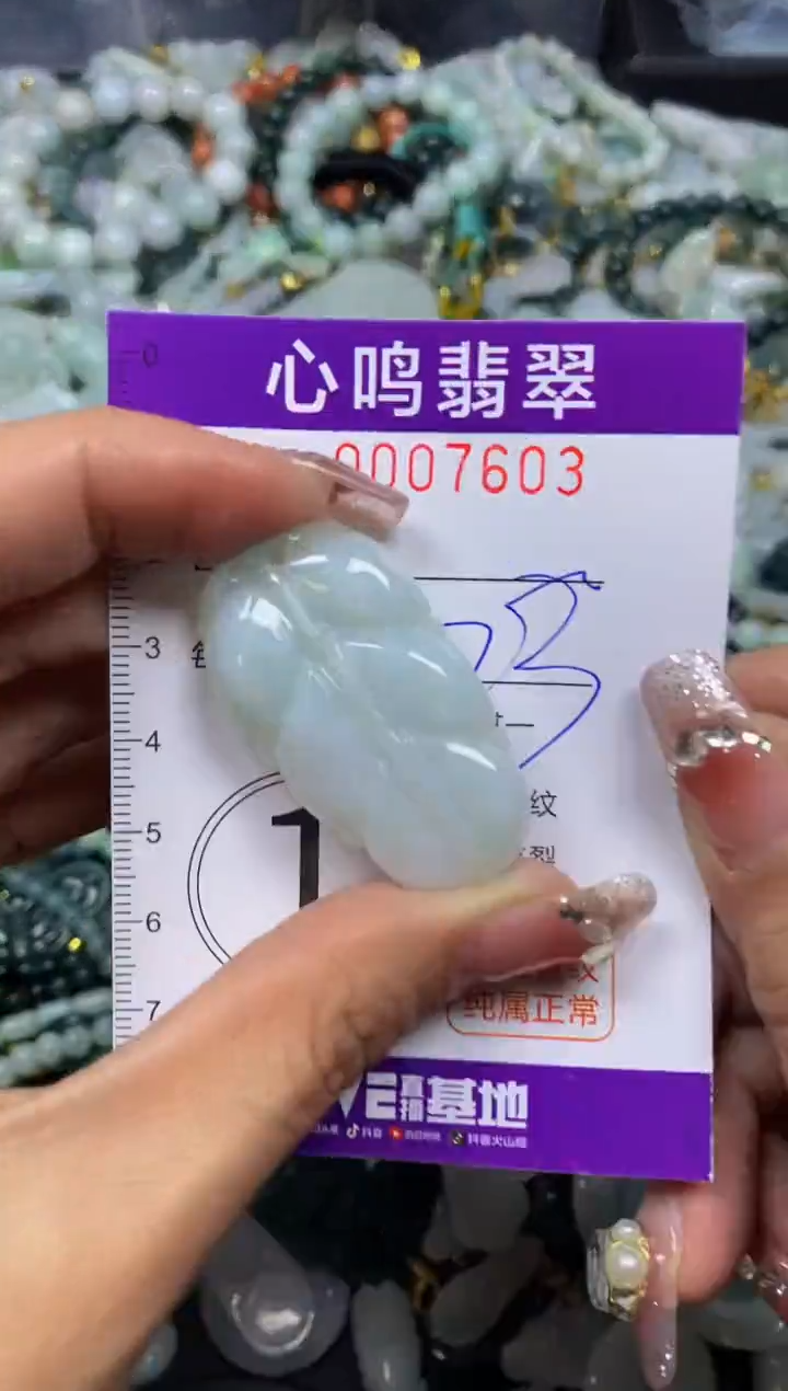 【闪购商品】翡翠颈饰未镶嵌闪购007603