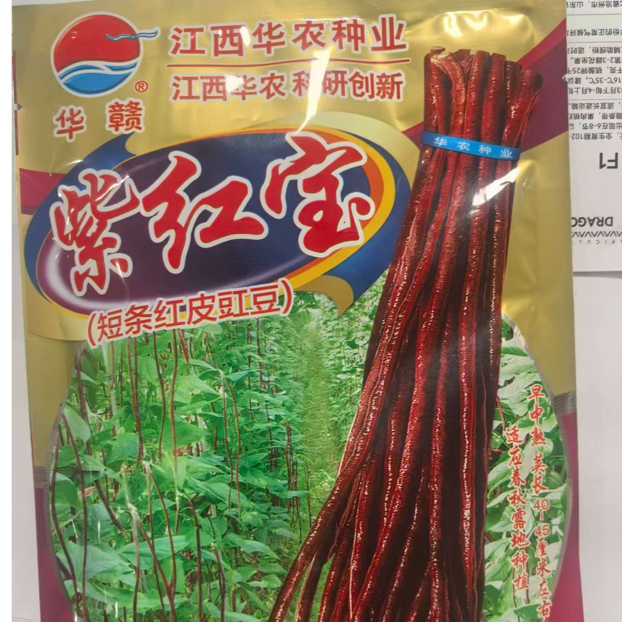 紫红宝短长条红皮长豇豆早中熟商品性好