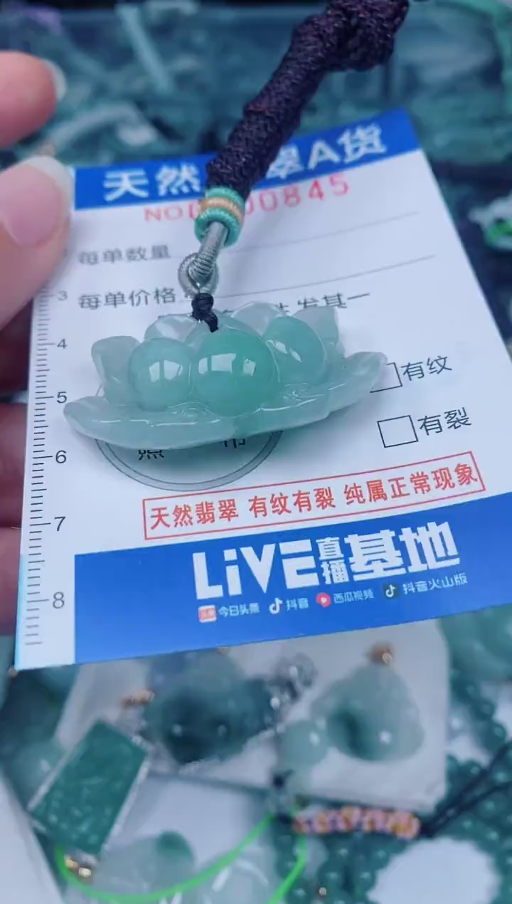 颈饰未镶嵌翡翠00000845