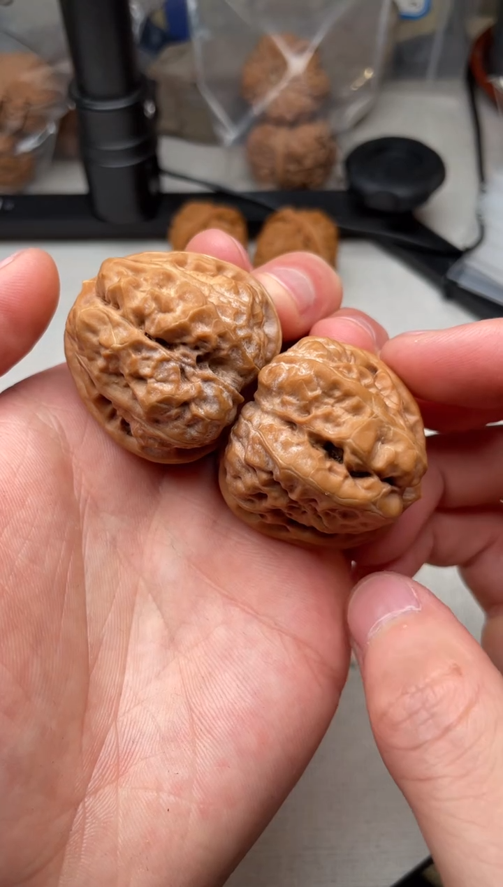 把件文玩核桃43蛤蟆