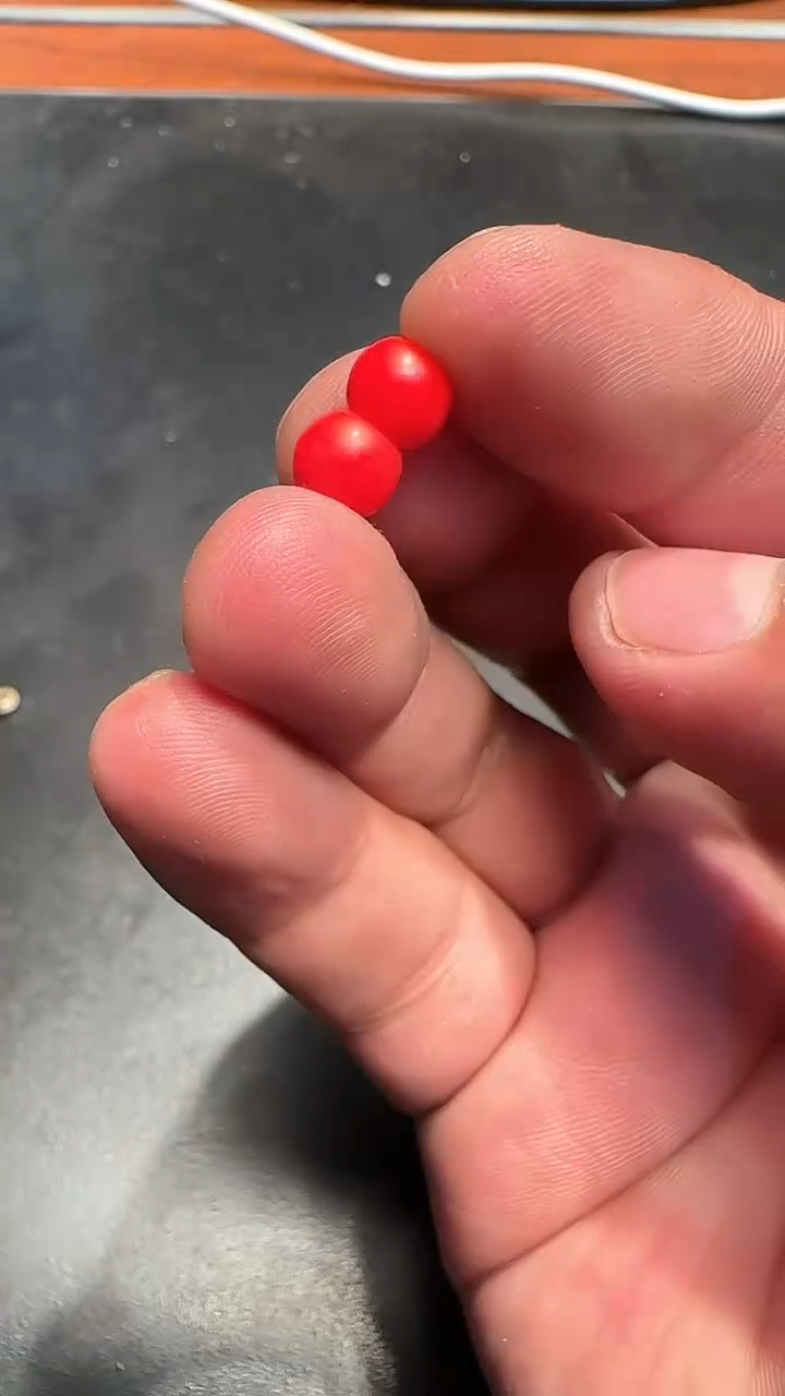 一对小雪巴一对小雪巴