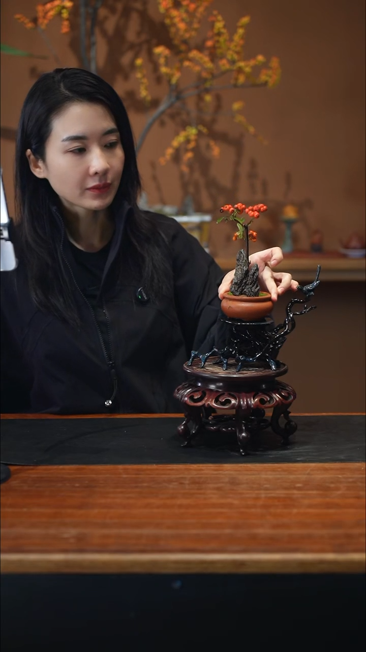 全部花朵小火棘盆景盆景盆景